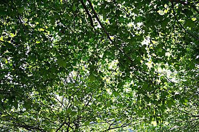 《真三国无双》25周年最贵周边来了：《起源》主角耳饰售价800元